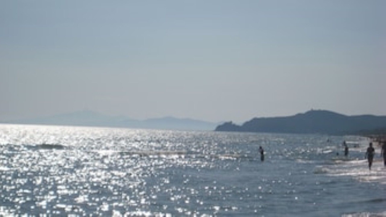 Photo of Others in Campagnatico