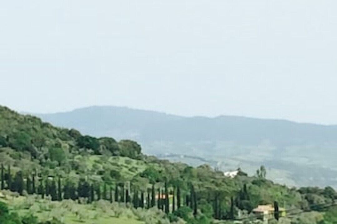 Photo of Outdoor in Campagnatico