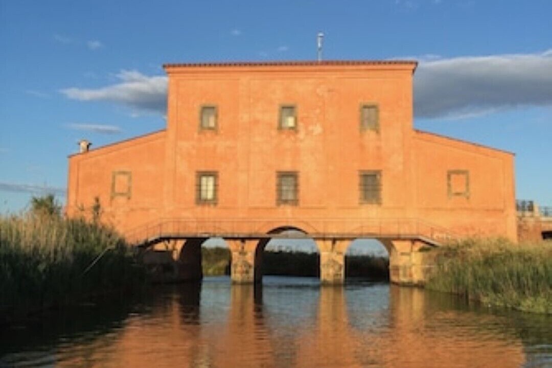Photo of Others in Campagnatico