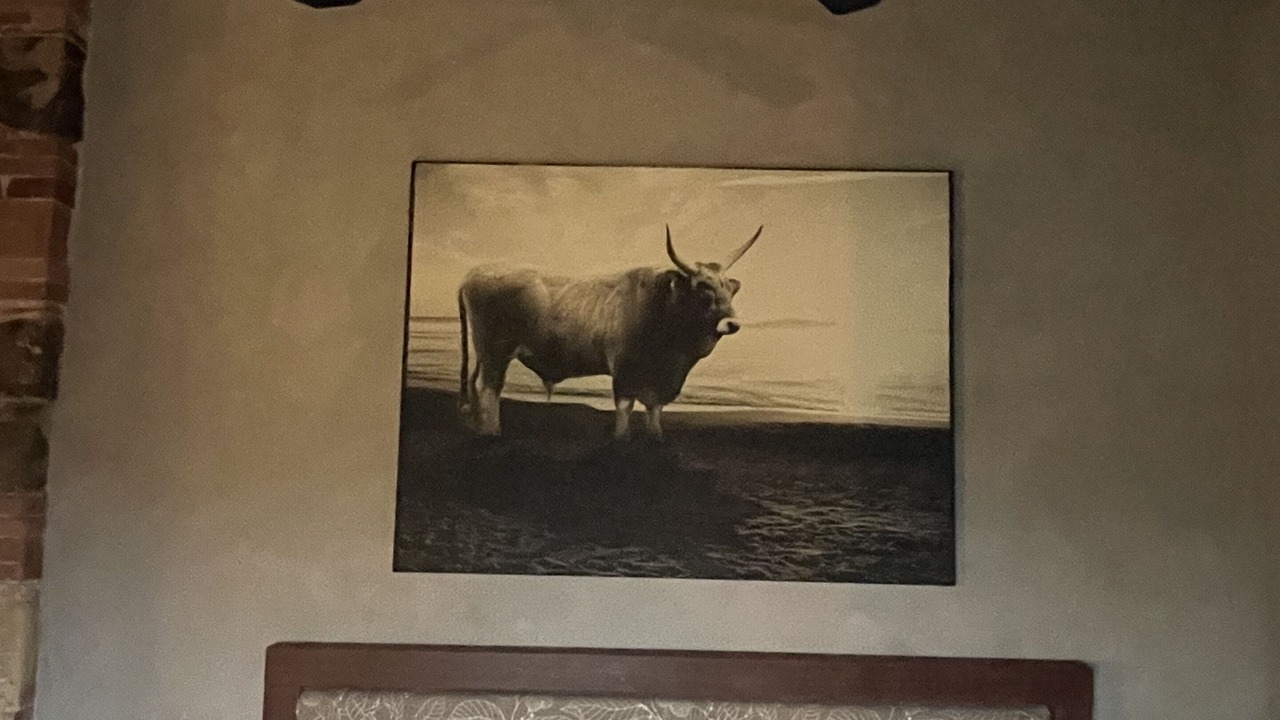 Photo of Bedroom in Campagnatico