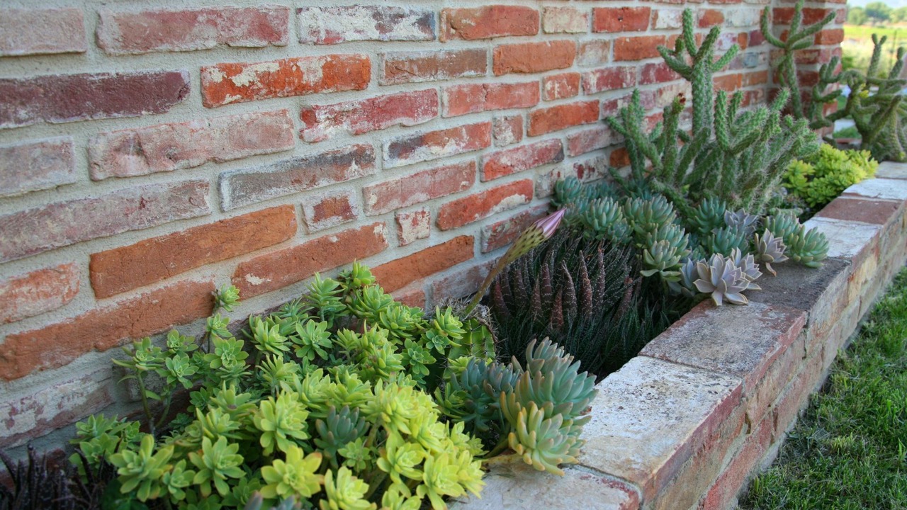 Photo of Outdoor in Tegoleto