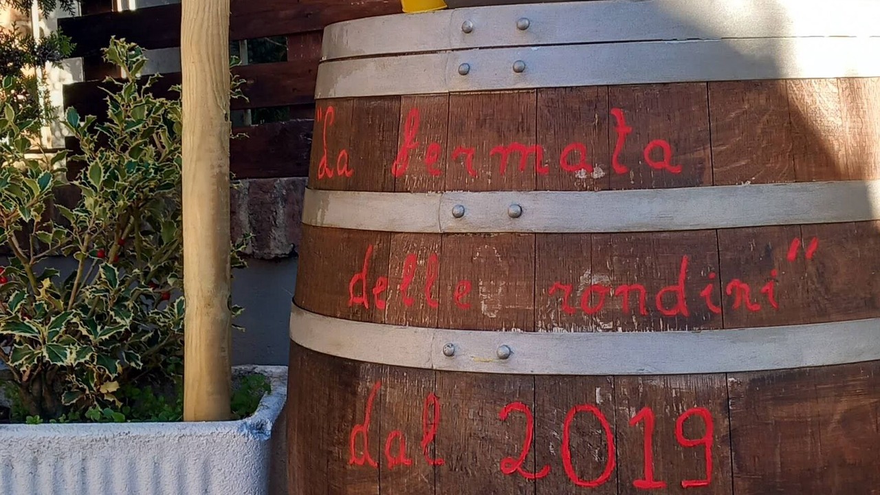Photo of Outdoor in Castello di Annone