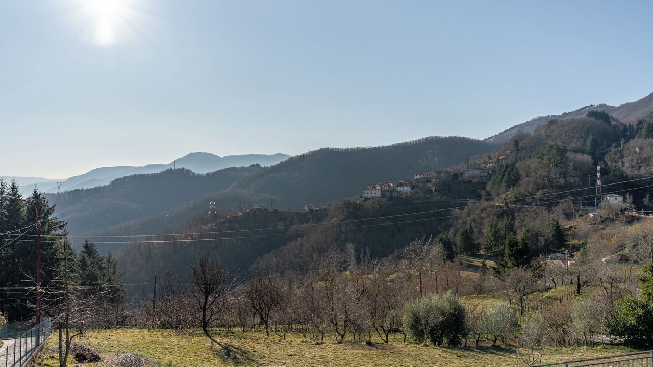 Photo of Others in Molazzana