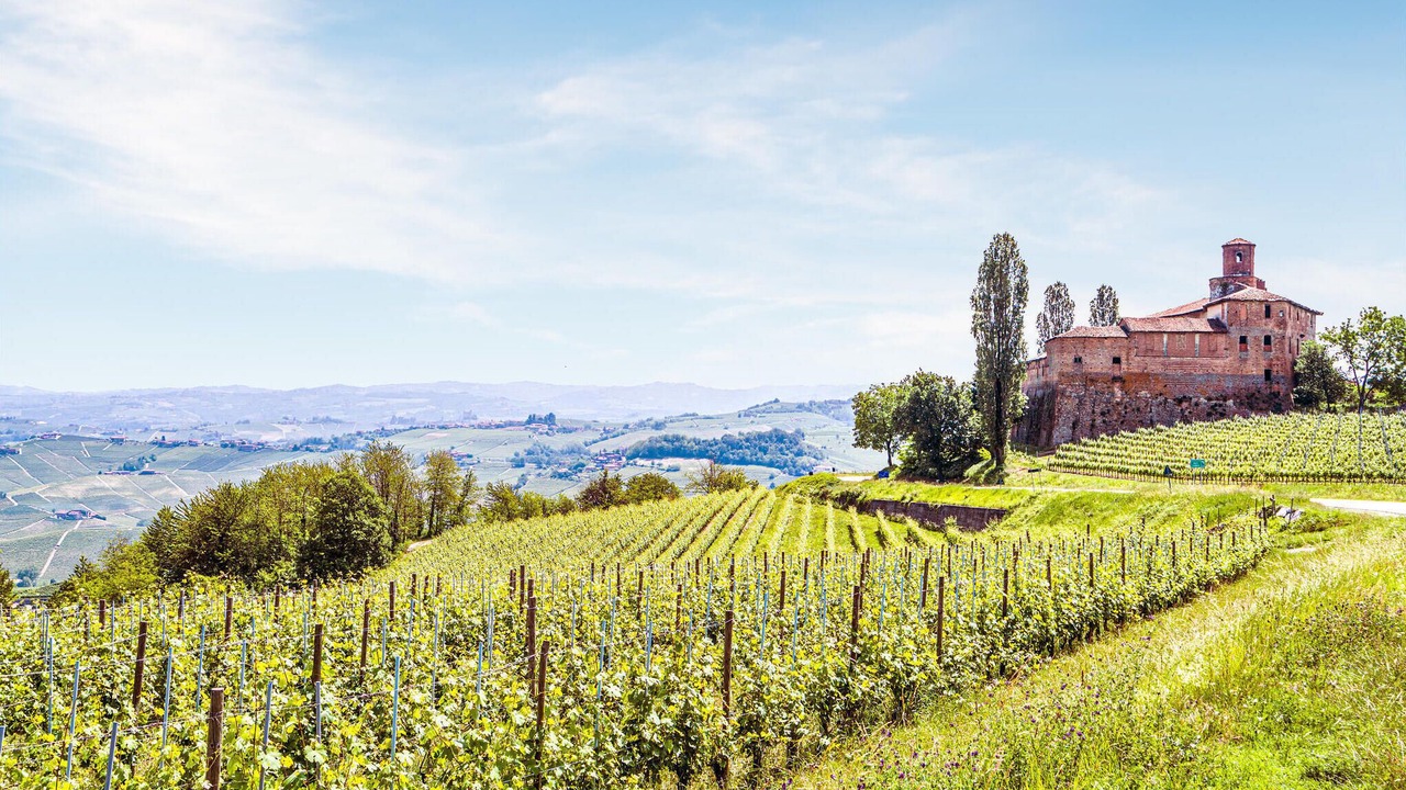 Photo of Others in Vignale Monferrato
