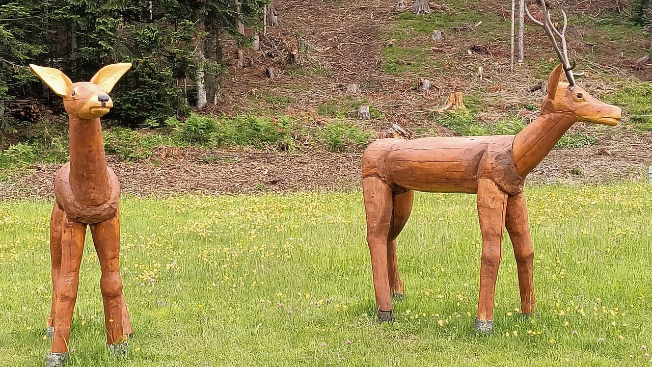 Photo of Others in Danta di Cadore
