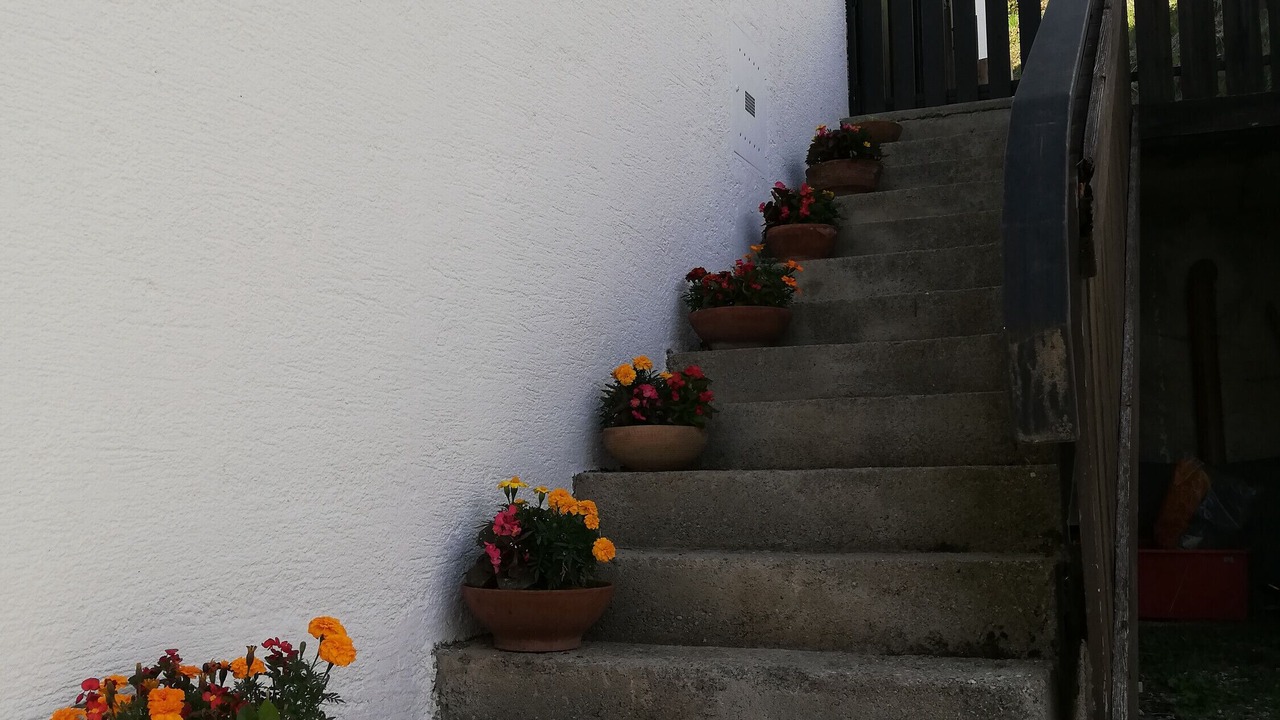 Photo of Outdoor in Danta di Cadore