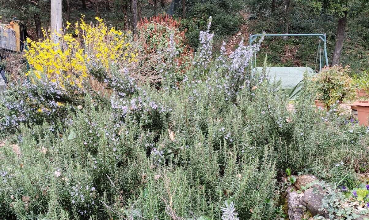 Photo of Outdoor in San Mariano