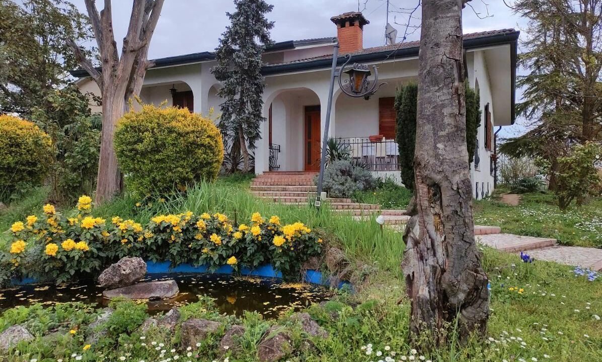 Photo of Outdoor in Berra