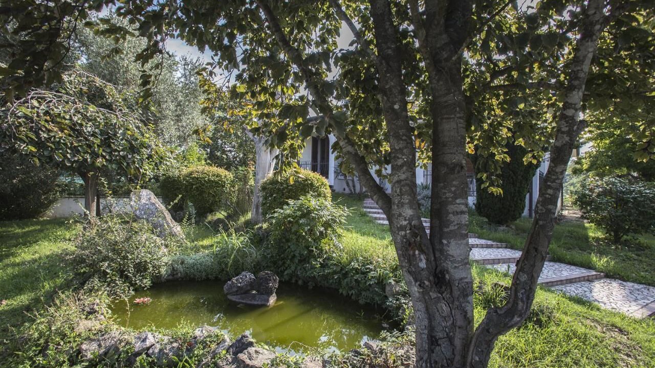Photo of Outdoor in Berra