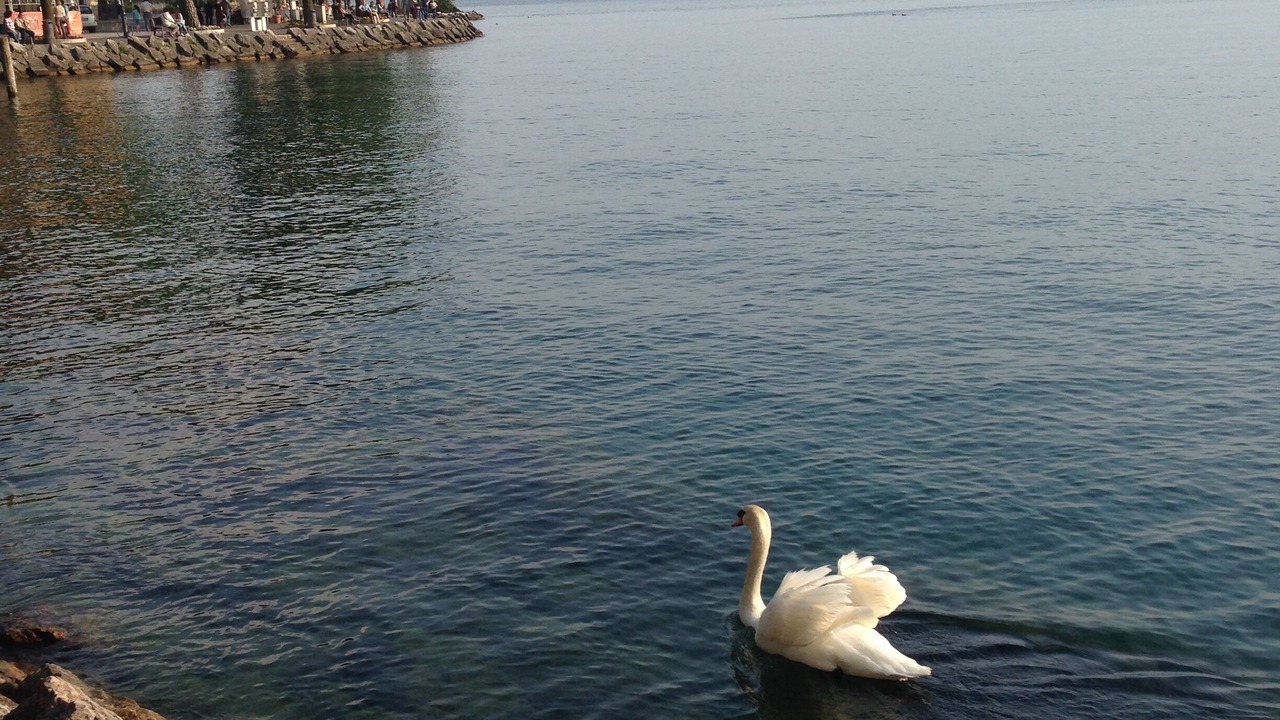 Photo of Others in Garda
