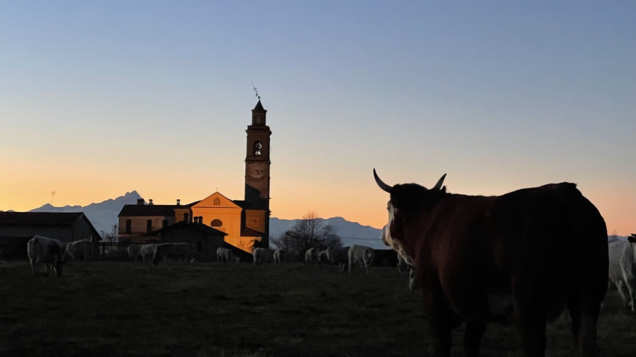 Photo of Outdoor in Bene Vagienna