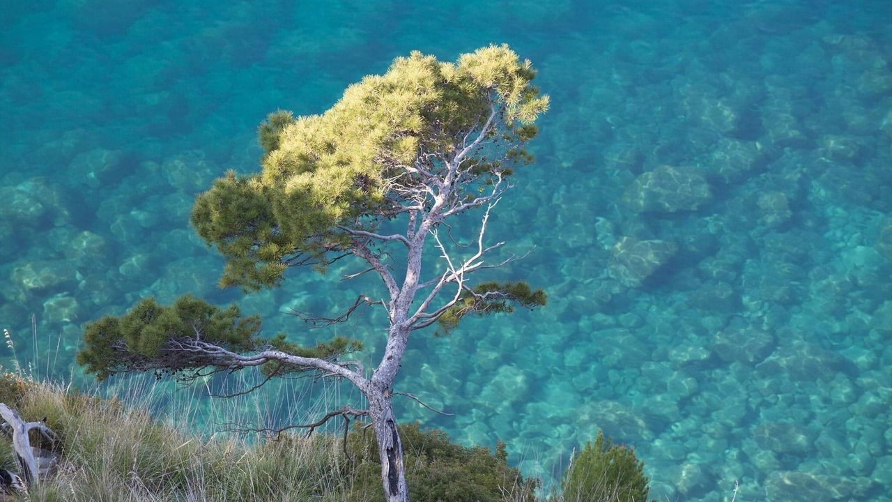 Photo of Outdoor in Pollica