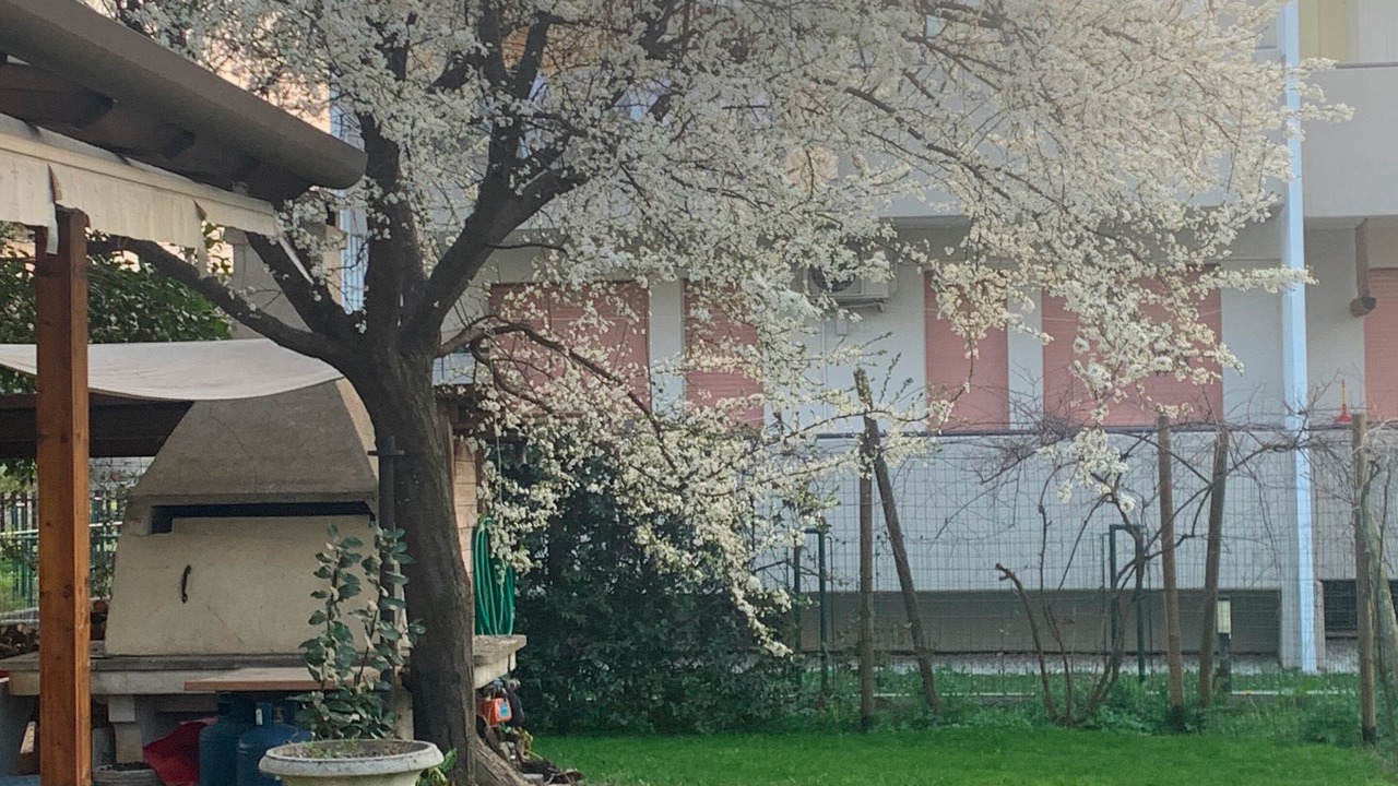 Photo of Outdoor in Oderzo