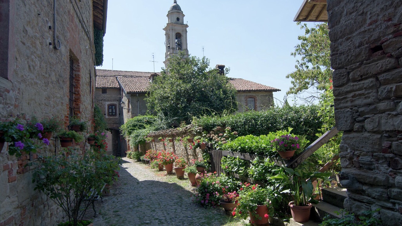 Photo of Others in Saint-remy-de-provence