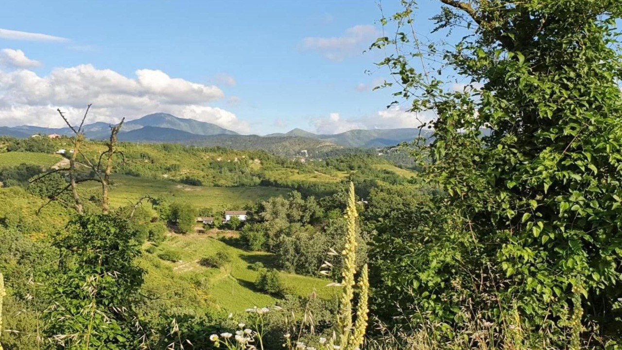Photo of Others in Saint-remy-de-provence