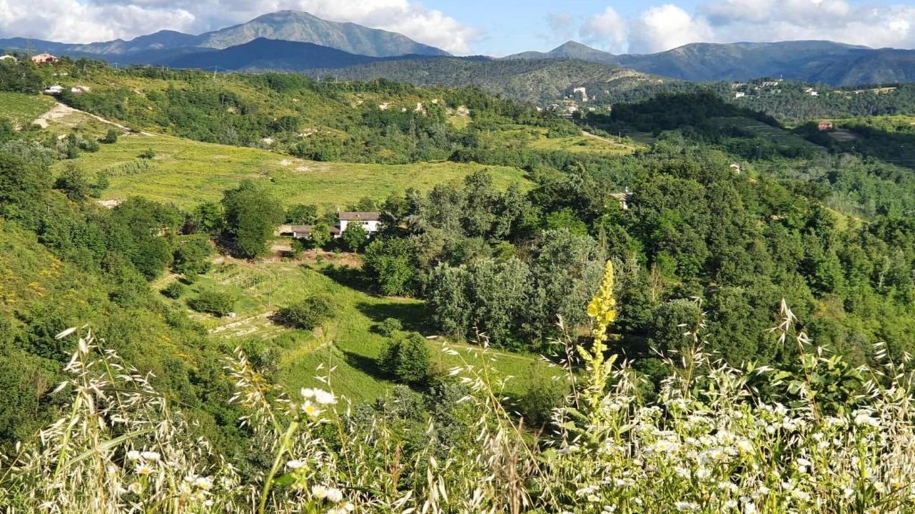 Photo of Others in Saint-remy-de-provence