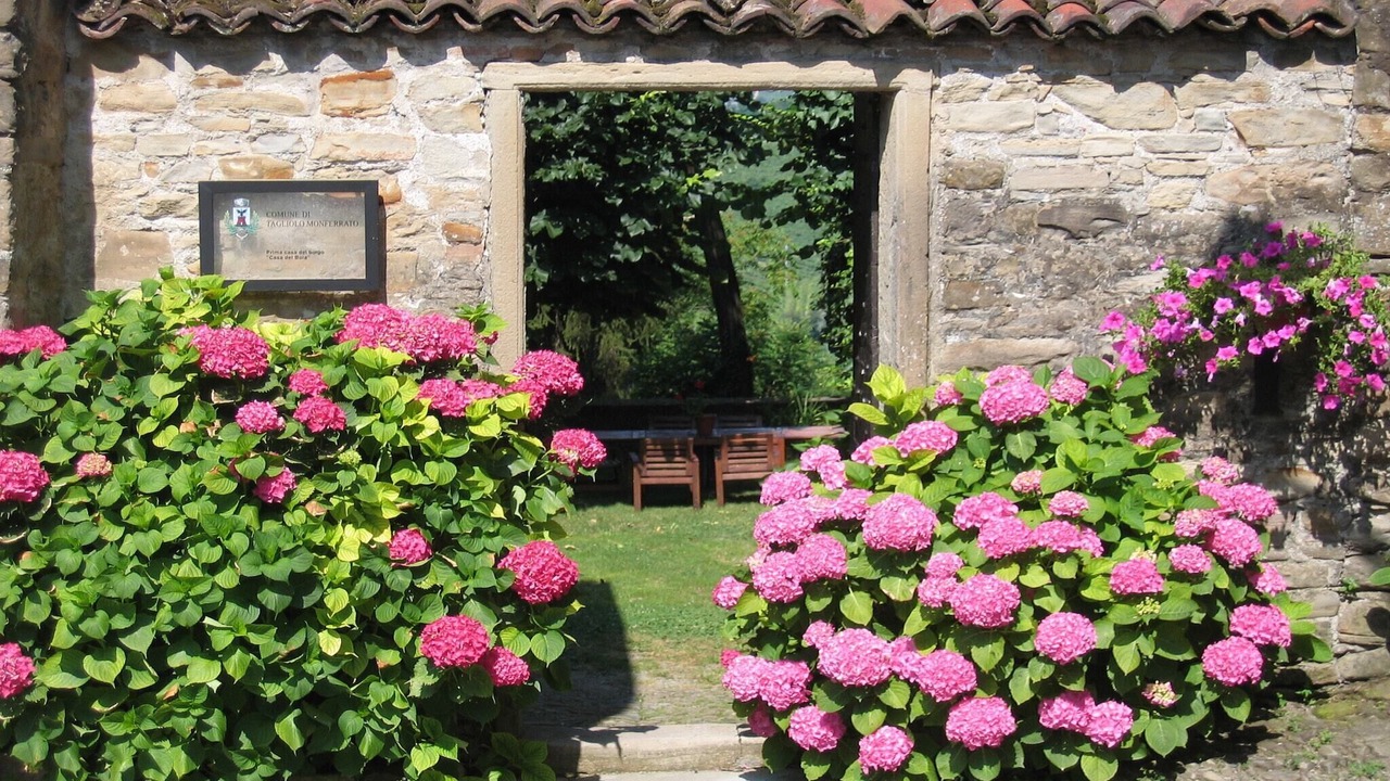 Photo of Outdoor in Saint-remy-de-provence