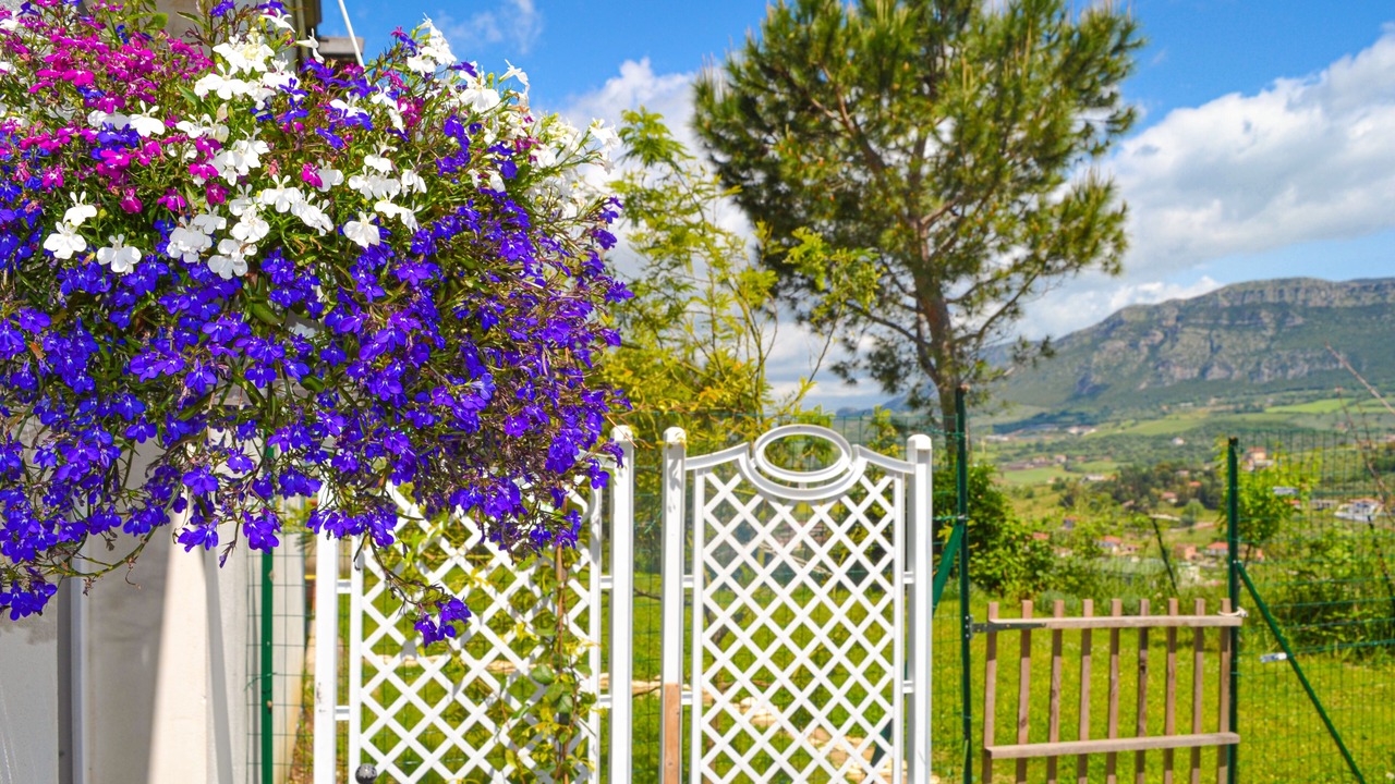 Photo of Outdoor in Cicerale