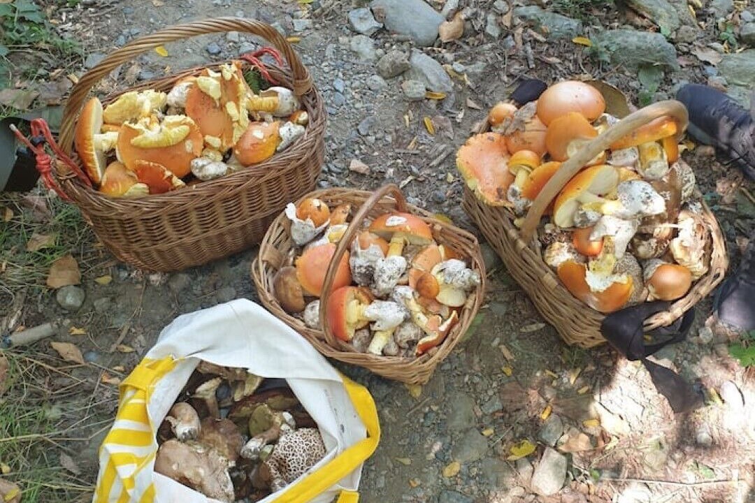 Photo of Others in Casaleggio Boiro