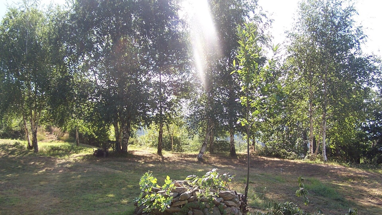 Photo of Outdoor in Magliolo