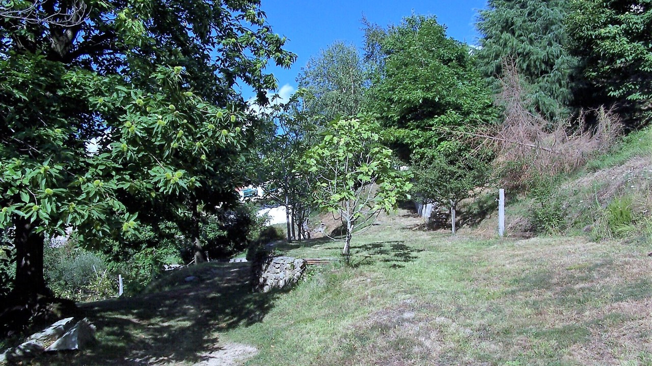 Photo of Outdoor in Magliolo
