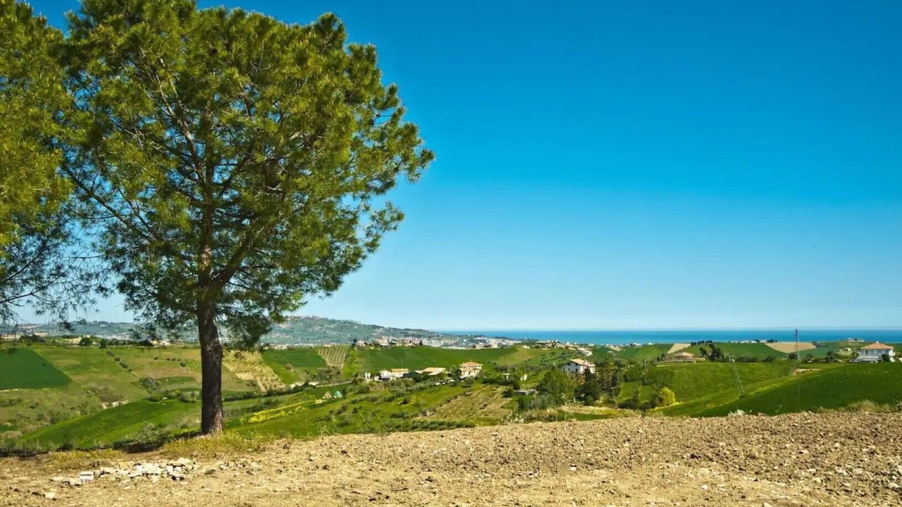 Photo of Outdoor in Pineto