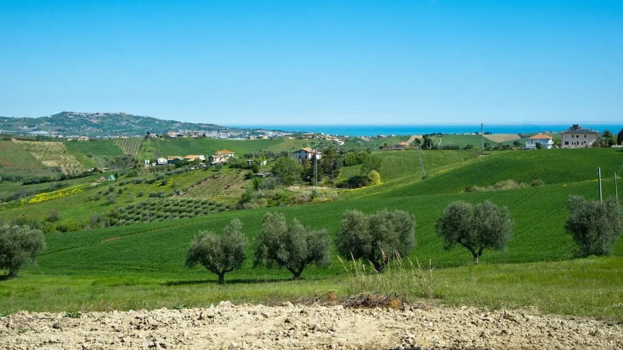 Photo of Others in Pineto