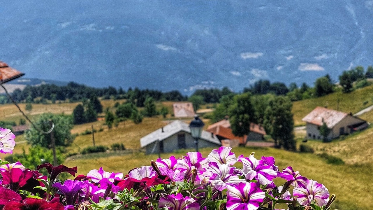 Photo of Outdoor in Verrayes