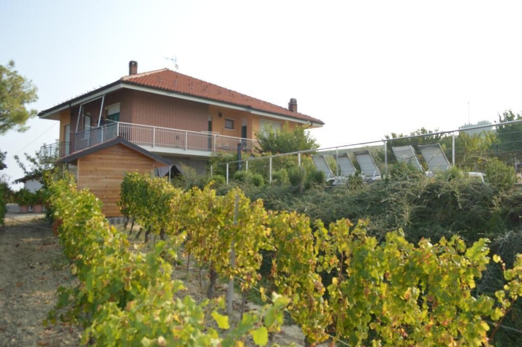 Photo of Outdoor in Castiglione Tinella