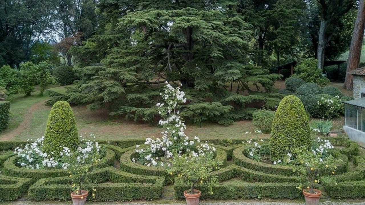 Photo of Patio Balcony in Le Cure