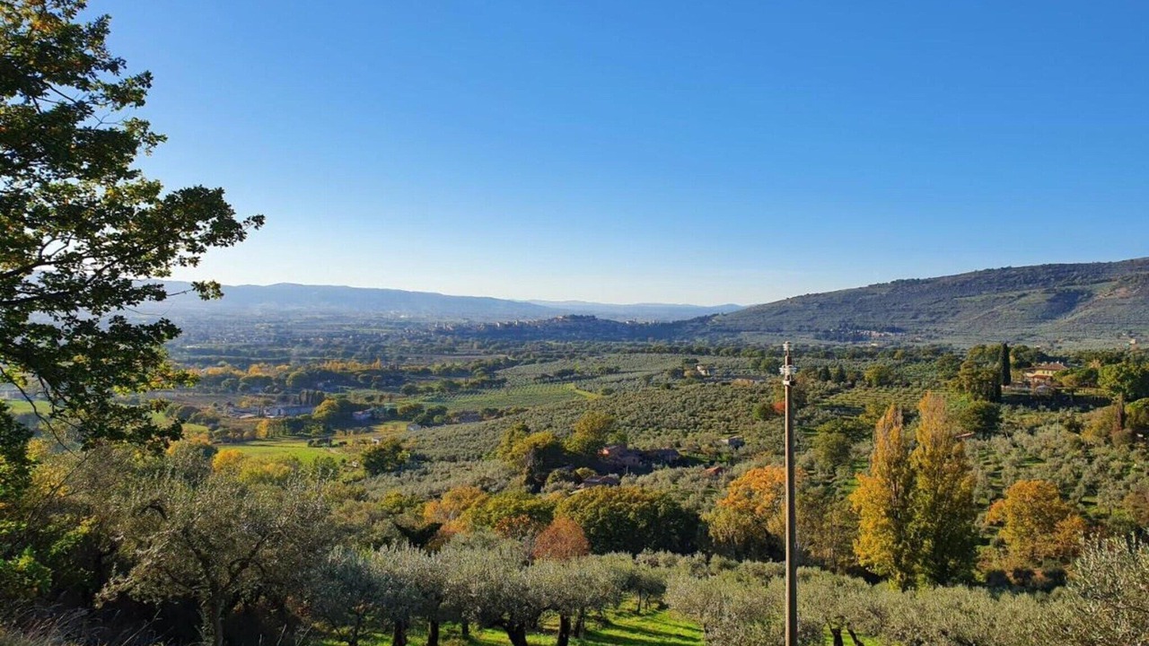 Photo of Others in Foligno