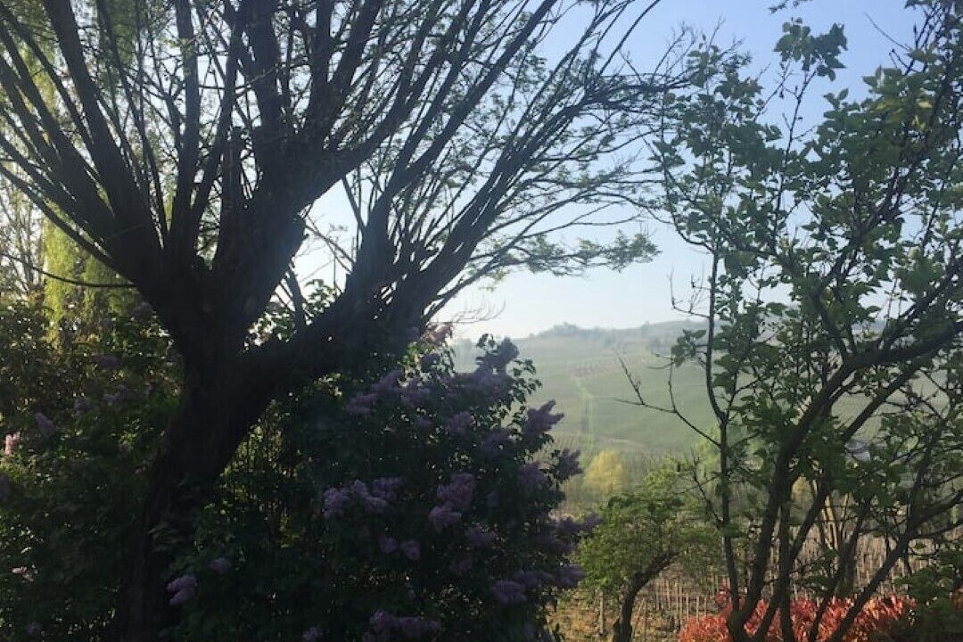 Photo of Outdoor in Santa Maria della Versa