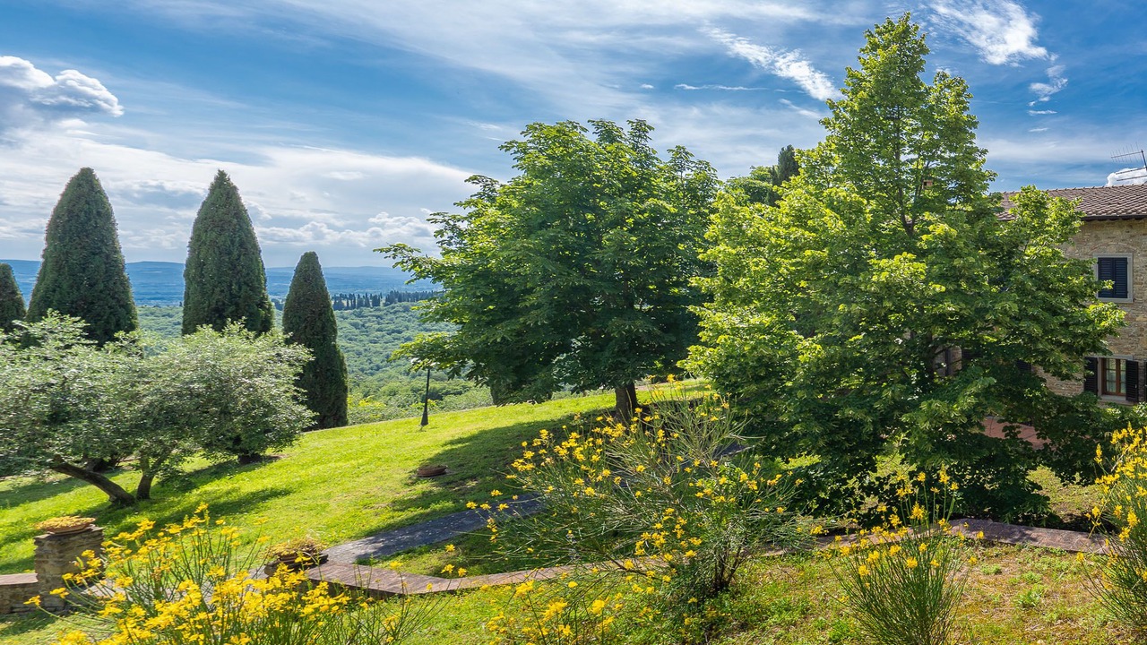 Photo of Outdoor in Subbiano