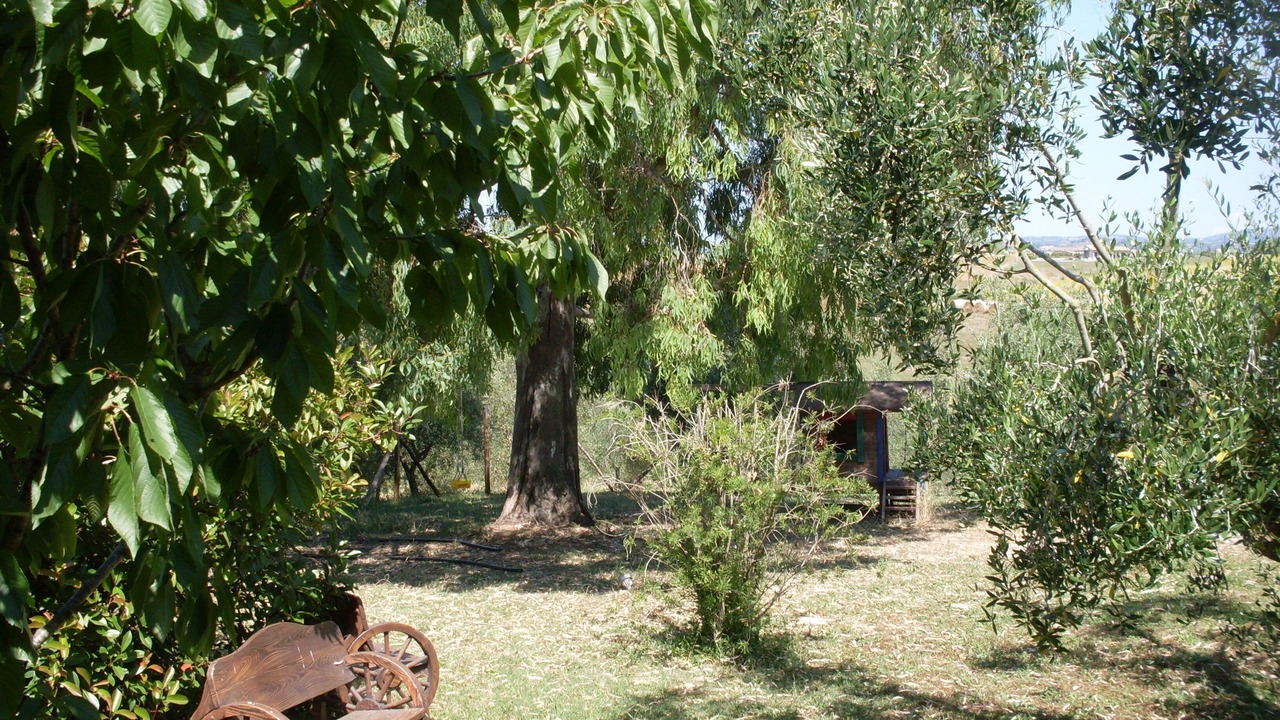 Photo of Outdoor in Marsiliana