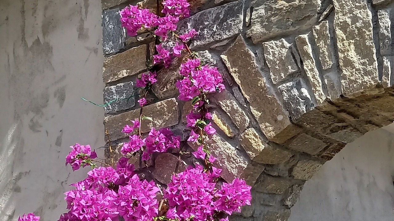 Photo of Outdoor in Vignola