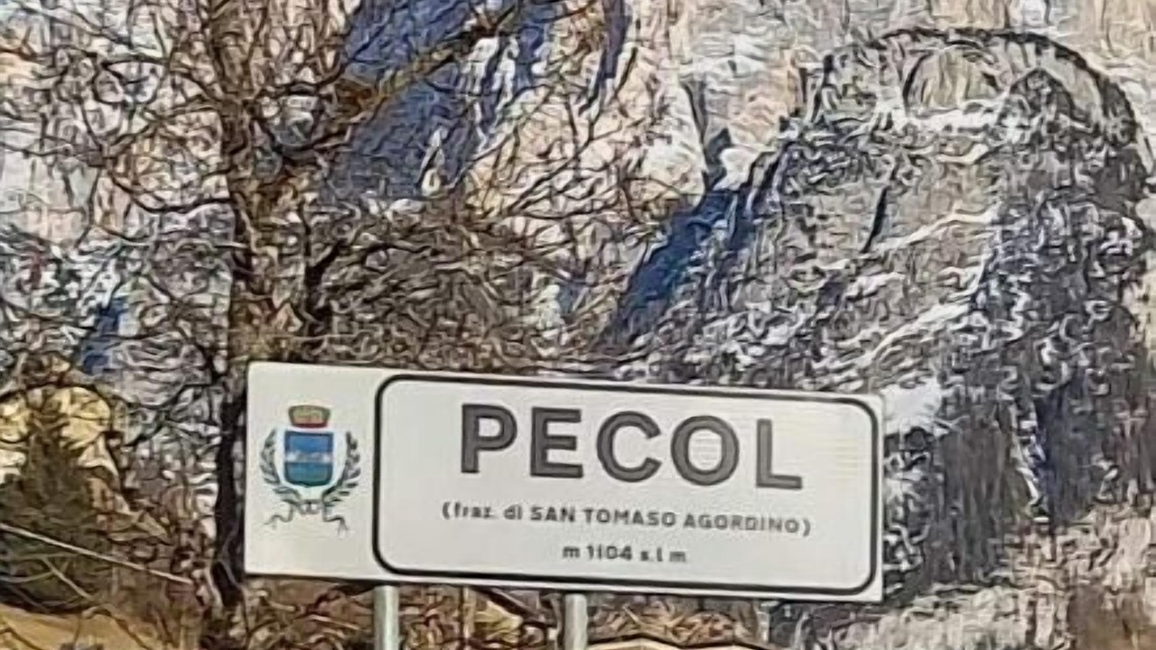 Photo of Others in Pecol