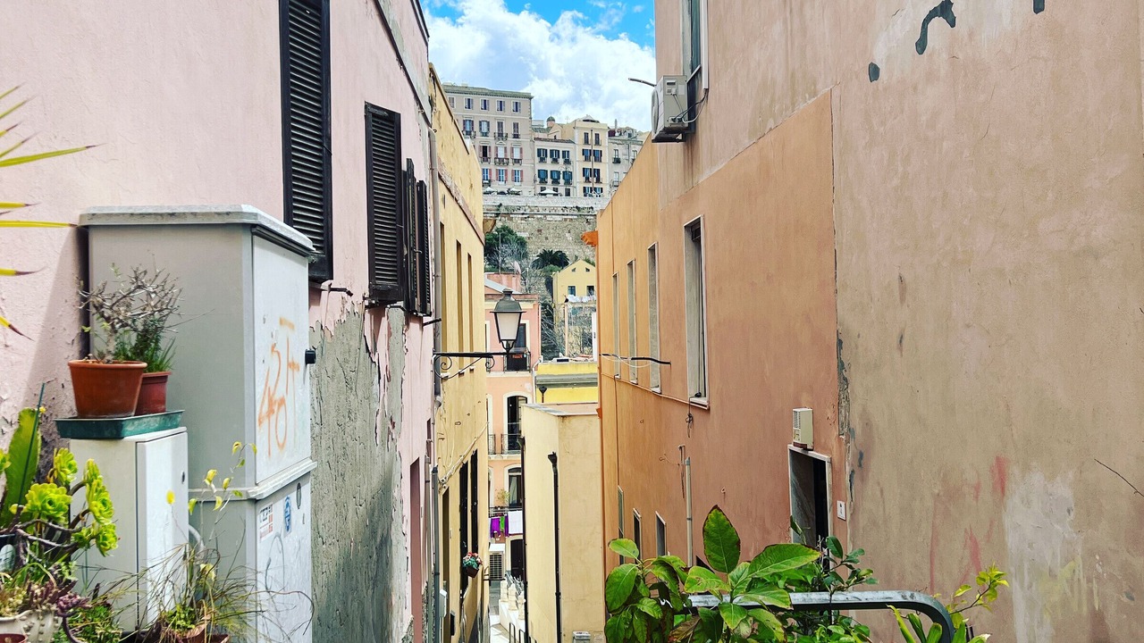 Photo of Others in Cagliari