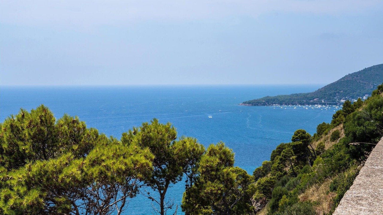 Photo of Others in Montecorice