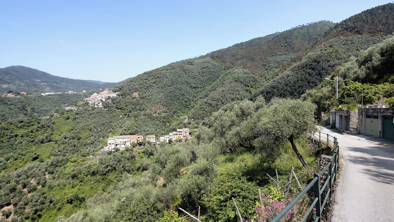 Photo of Others in Levanto