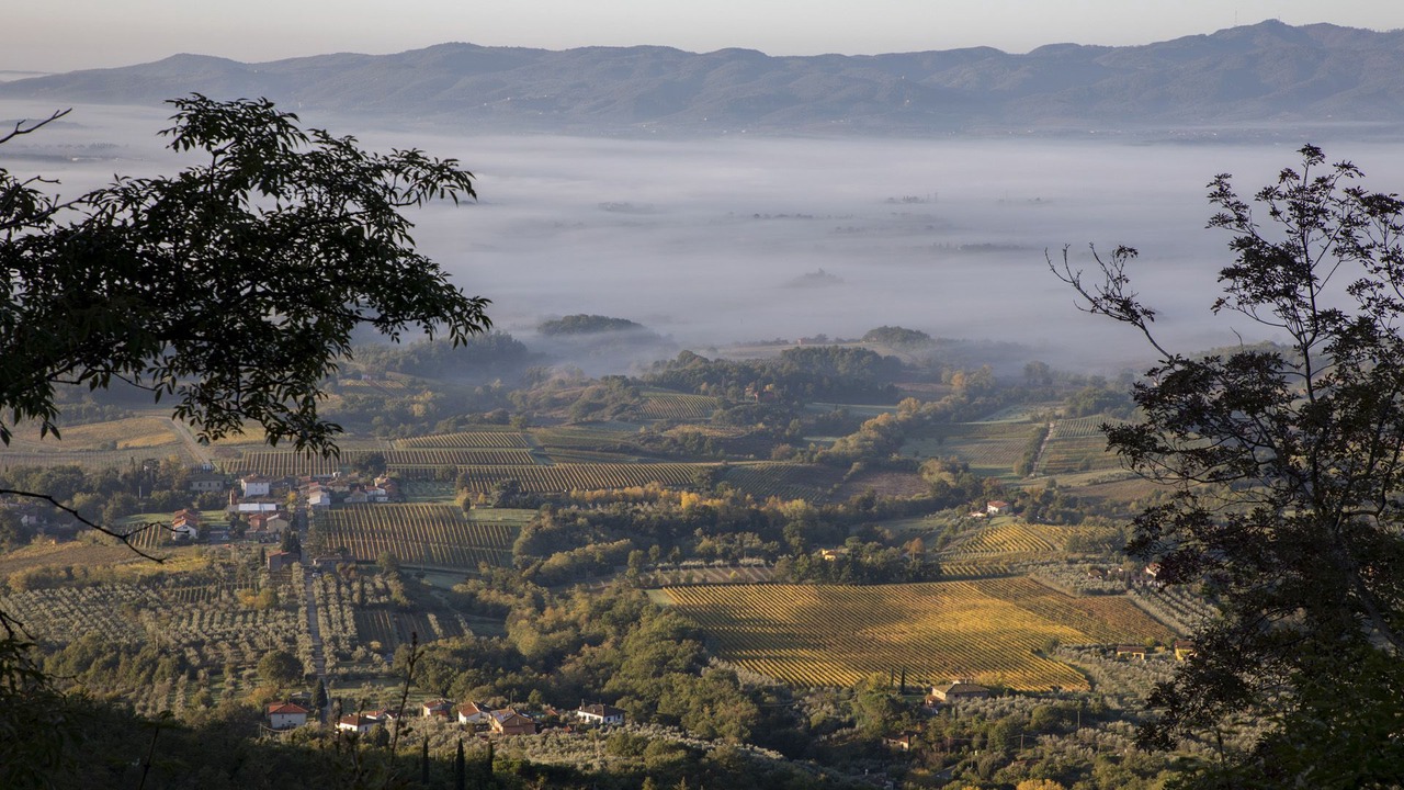 Photo of Outdoor in Cicogna
