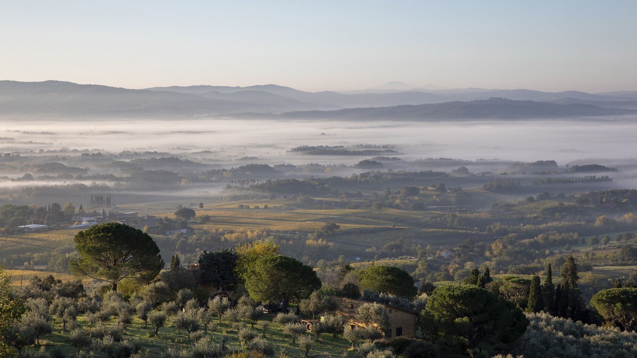 Photo of Outdoor in Cicogna