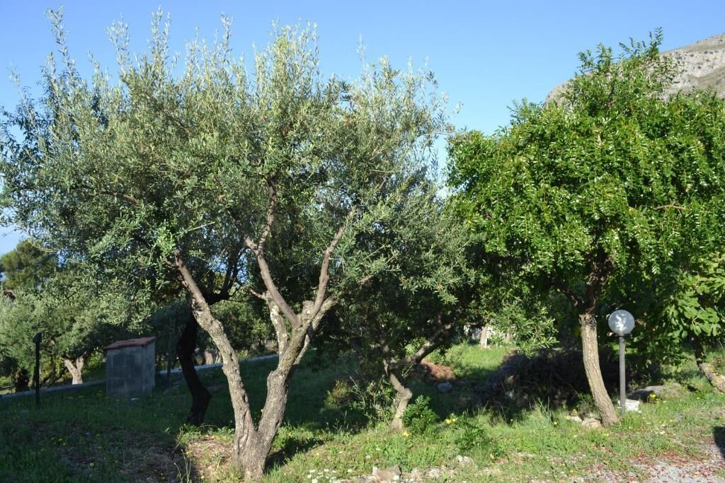 Photo of Outdoor in Maratea