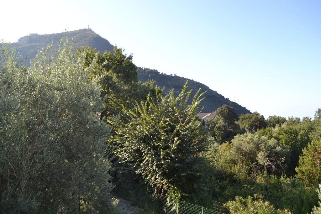 Photo of Others in Maratea