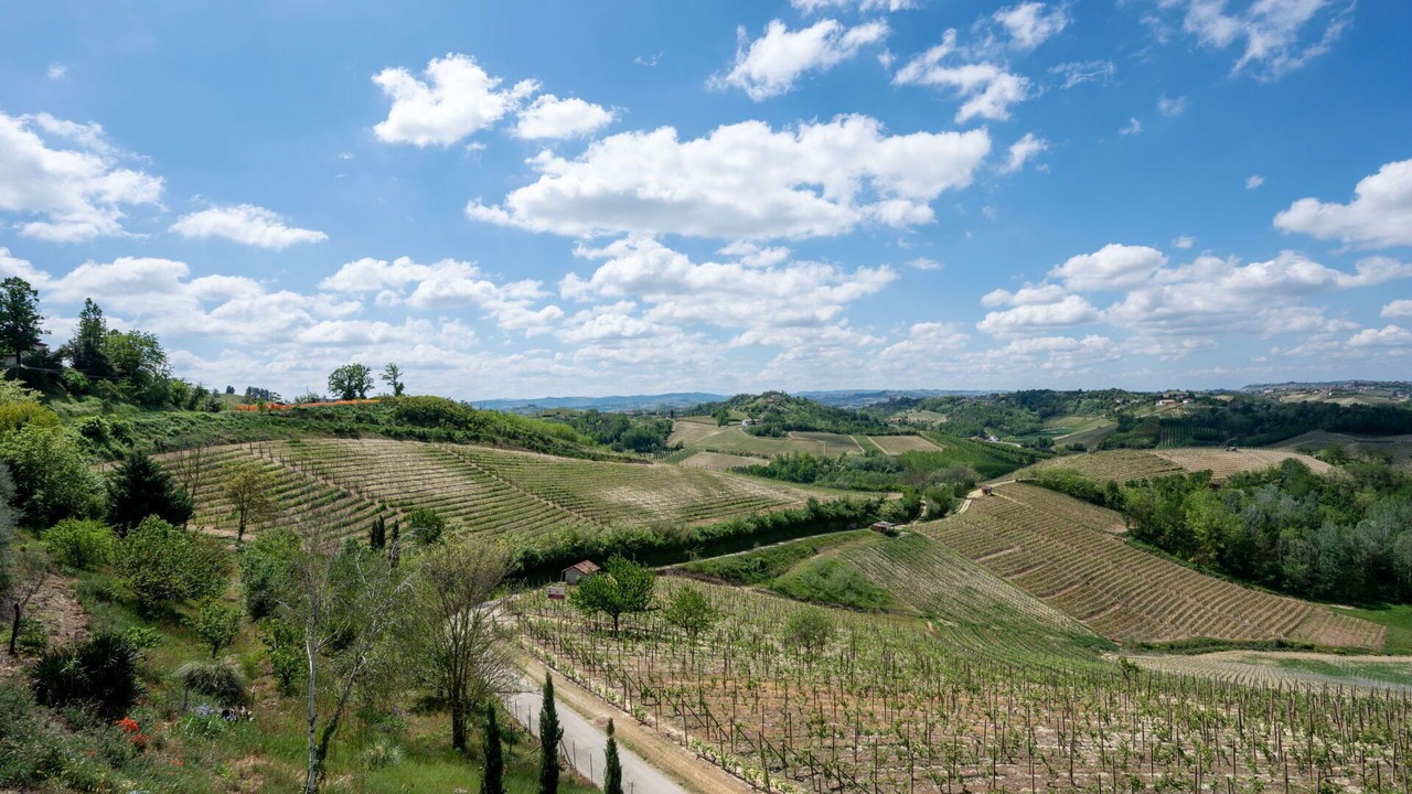 Photo of Outdoor in Vinchio