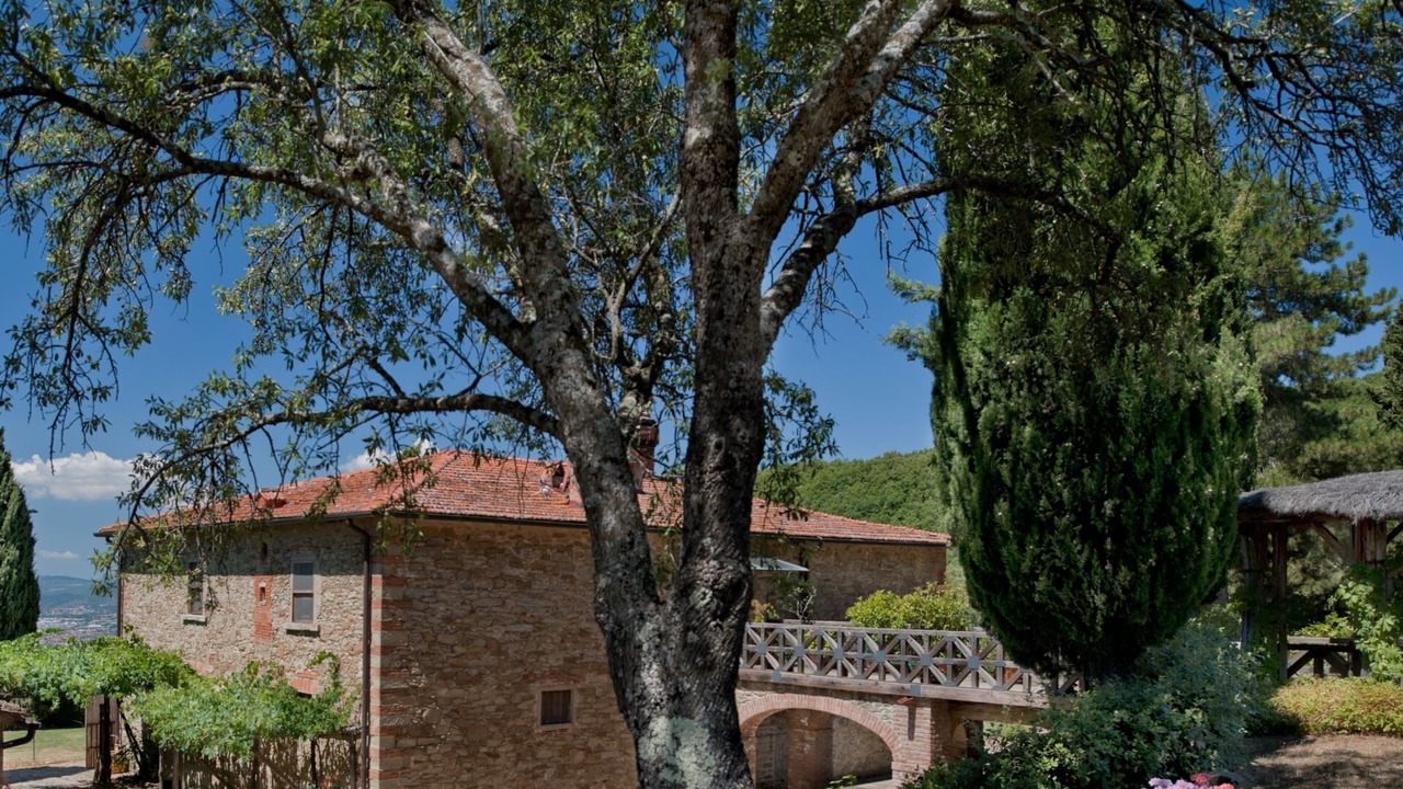 Photo of Others in Arezzo
