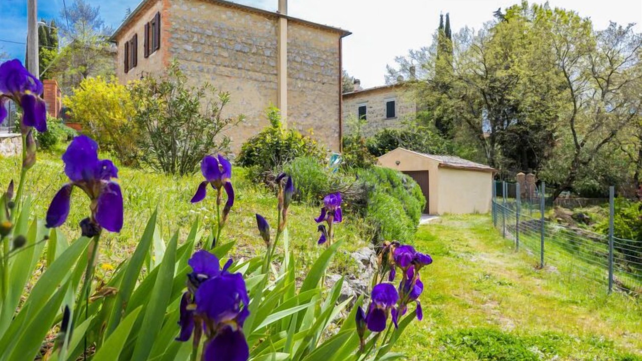Photo of Others in Montefollonico