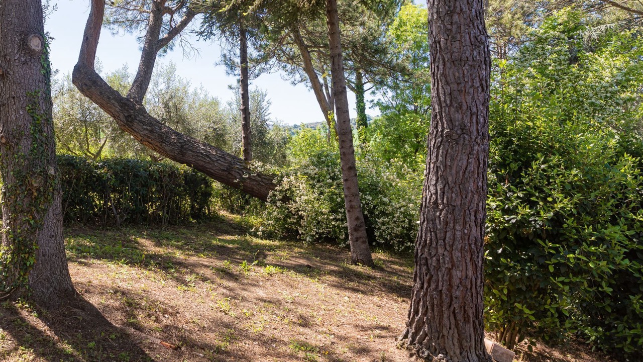 Photo of Outdoor in San Severino Marche