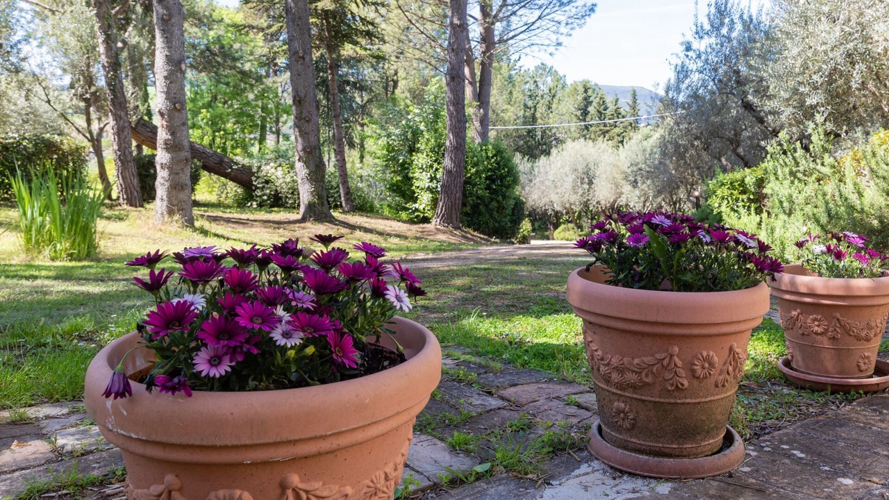 Photo of Outdoor in San Severino Marche