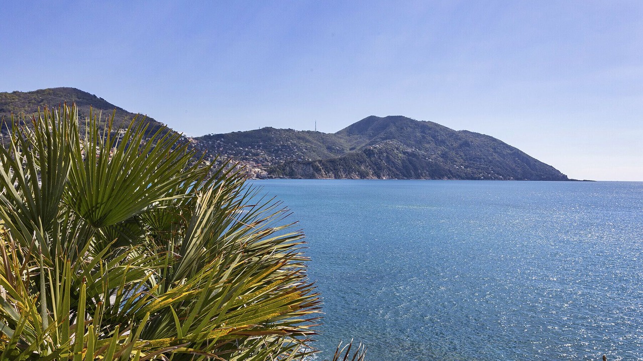 Photo of Others in Recco