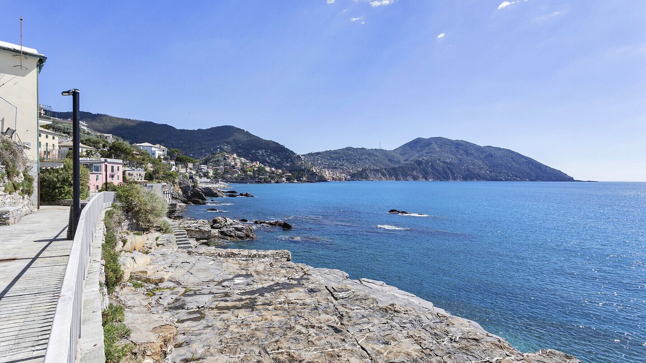 Photo of Others in Recco